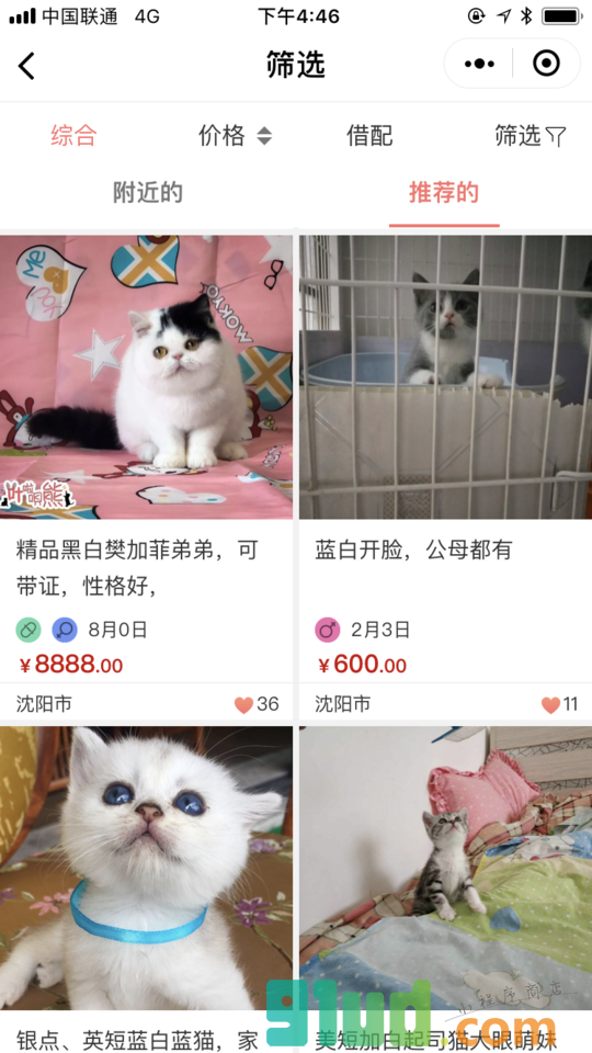 猫行狗市宠物交易市场小程序截图