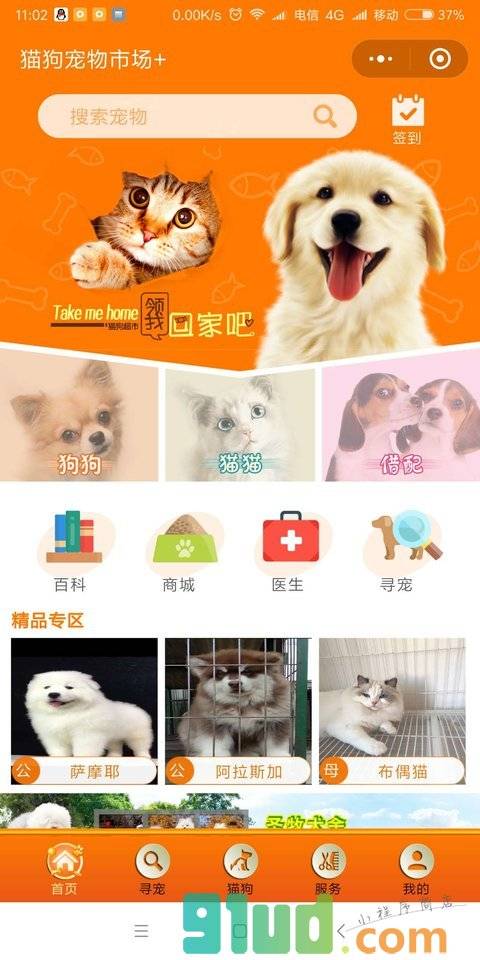 猫狗宠物市场+小程序截图