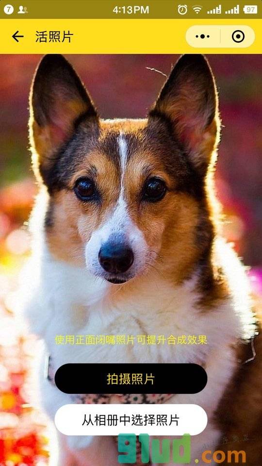 萌宠变戏精小程序截图