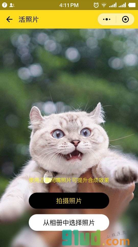 萌宠变戏精小程序截图
