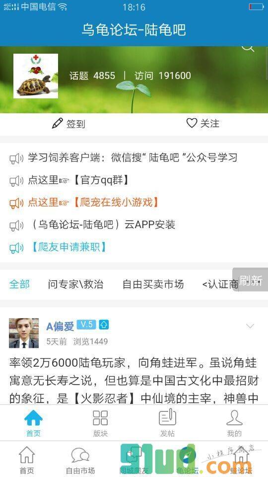 乌龟蜥蜴蛇陆龟一同城爬宠一发帖小程序截图