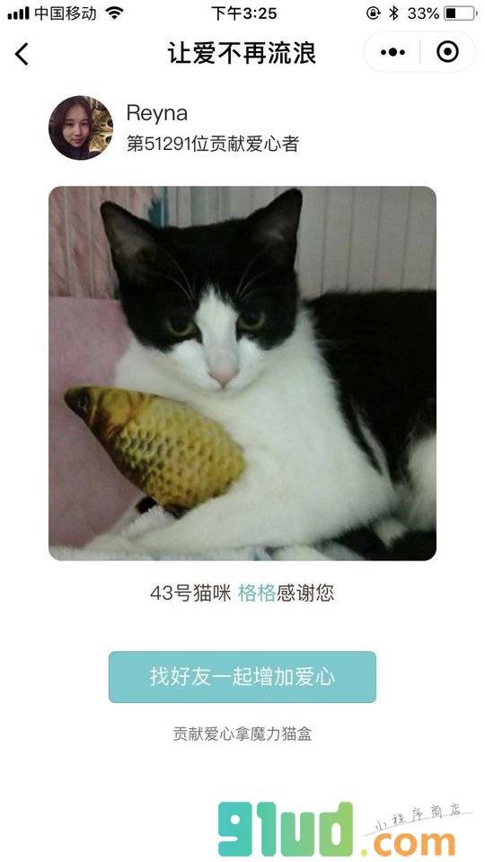 让爱不再流浪小程序截图