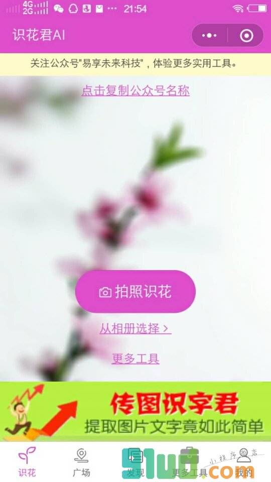 识花君Ai小程序截图