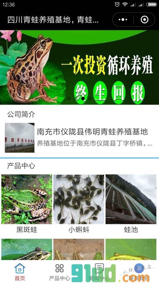 青蛙批发小程序截图
