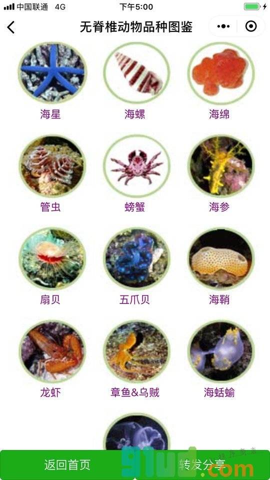 养鱼高手小程序截图