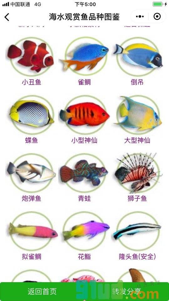 养鱼高手小程序截图