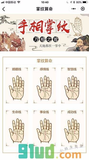 手相掌纹大全小程序截图