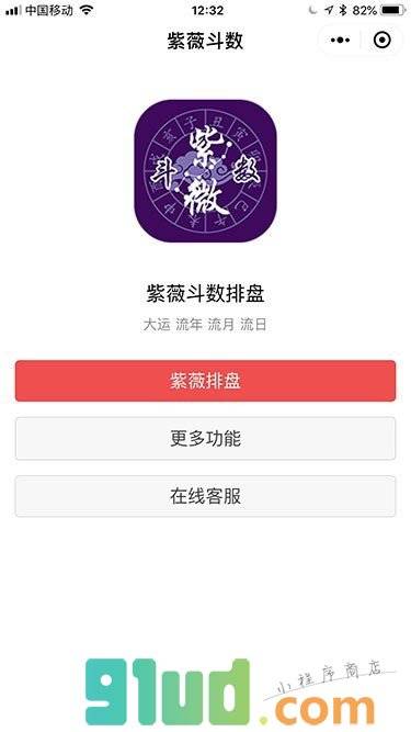 紫薇斗数排盘小程序截图