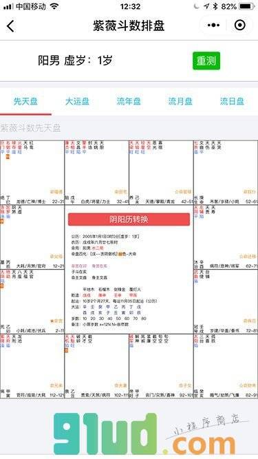 紫薇斗数排盘小程序截图