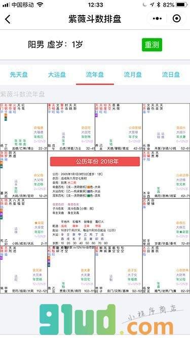 紫薇斗数排盘小程序截图