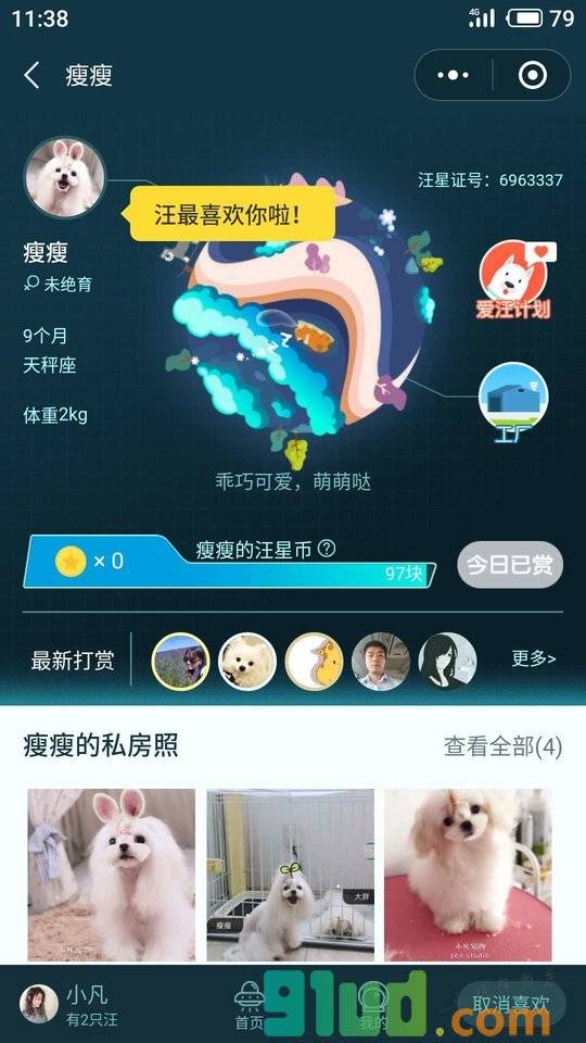 汪星球PuppyStar小程序截图