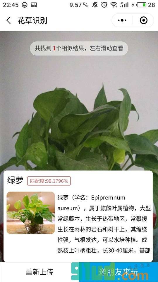 图片智能识别小程序截图