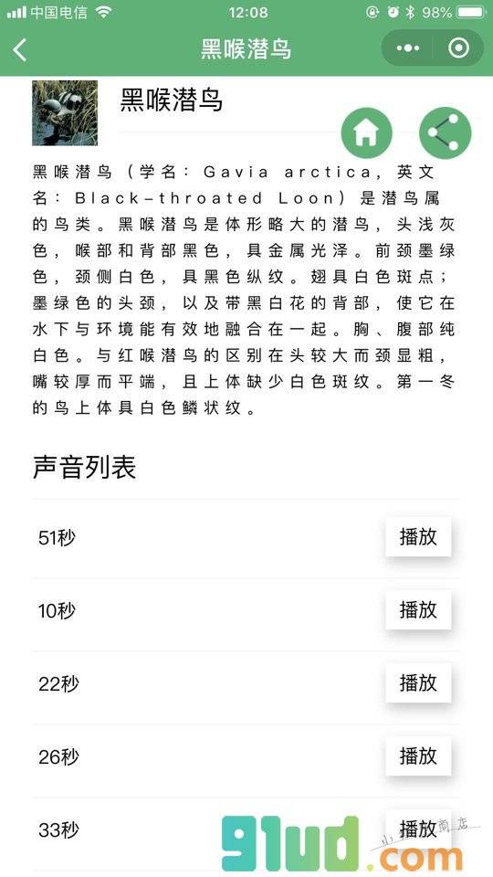 鸟叫声音大全小程序截图
