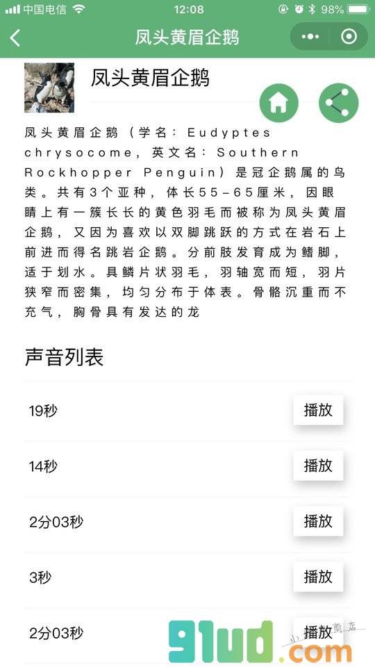 鸟叫声音大全小程序截图