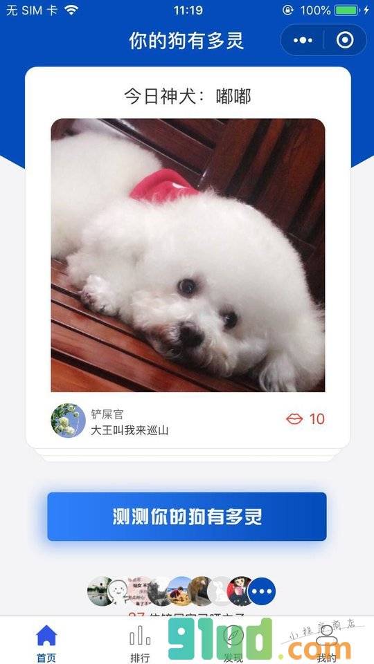 你的狗狗有多灵小程序截图
