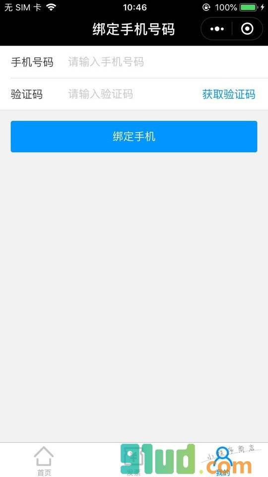 税问发票查询小程序截图