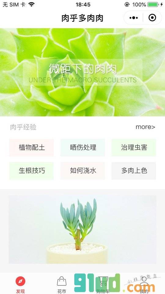 肉乎I多肉肉小程序截图