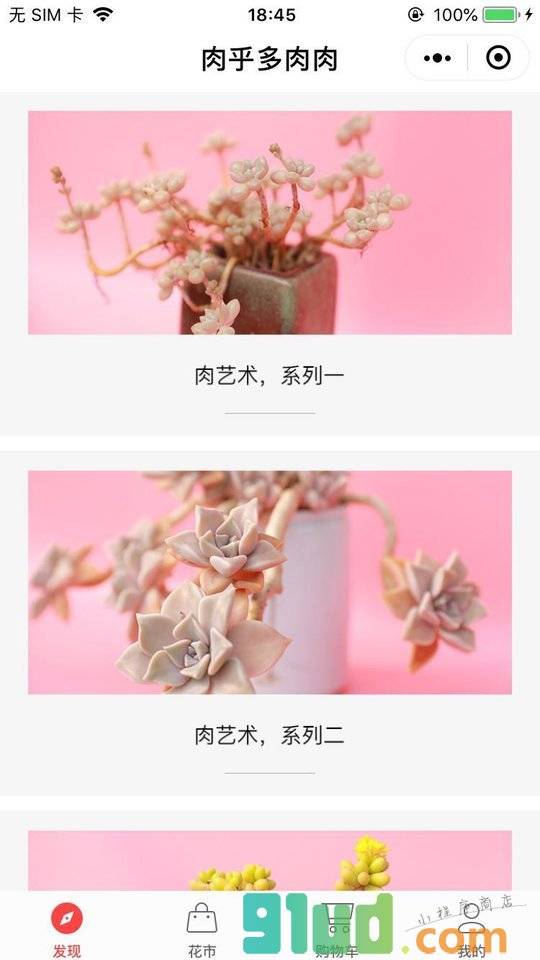 肉乎I多肉肉小程序截图