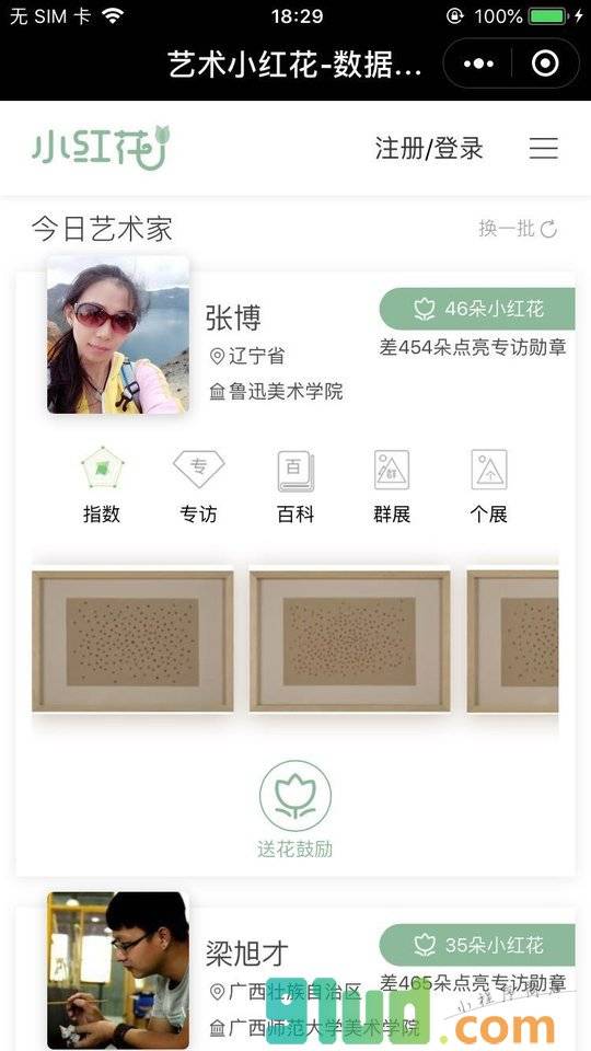 小红花艺术品电商小程序截图