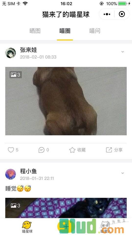 猫来了喵星球小程序截图