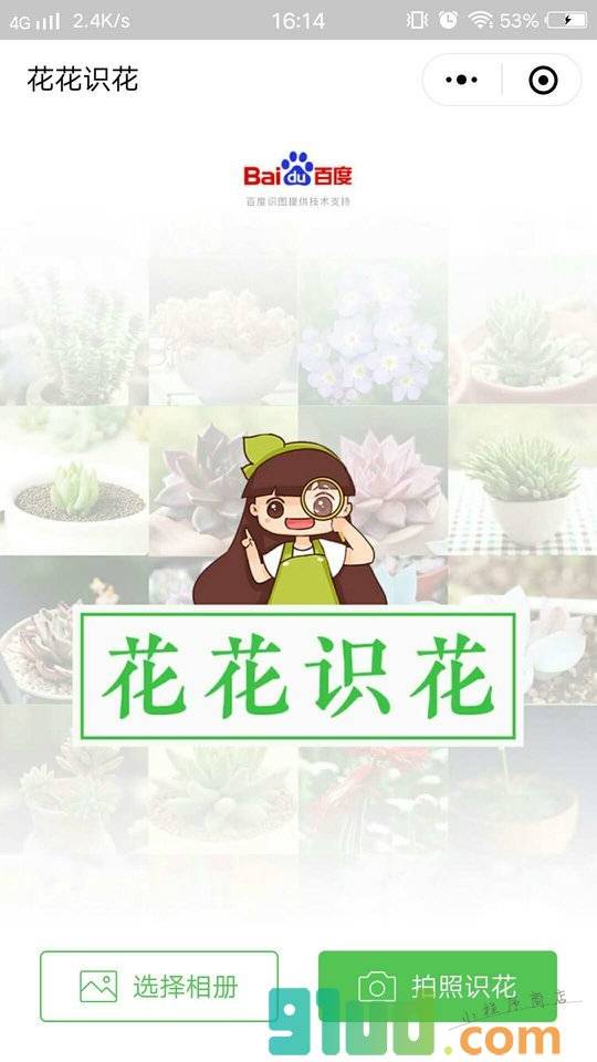 花花识花小程序截图