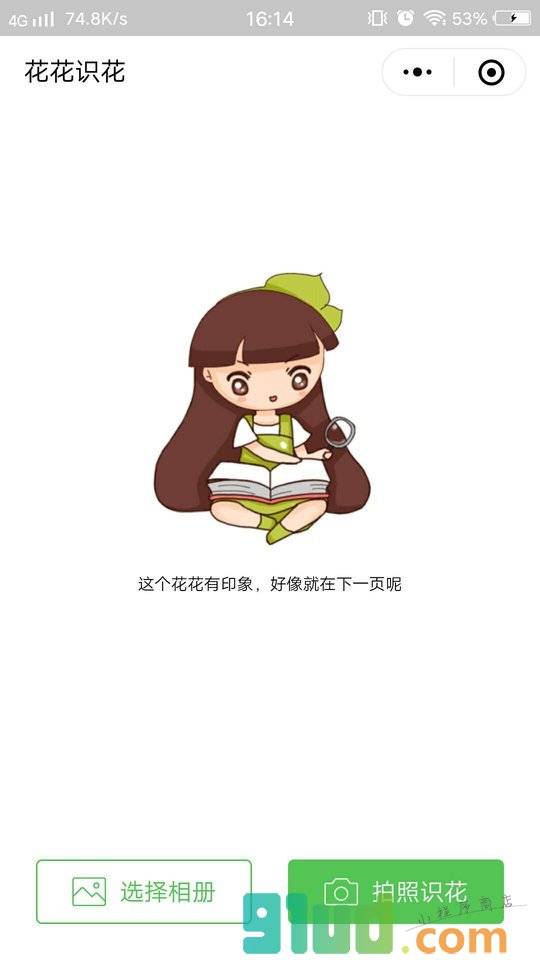 花花识花小程序截图