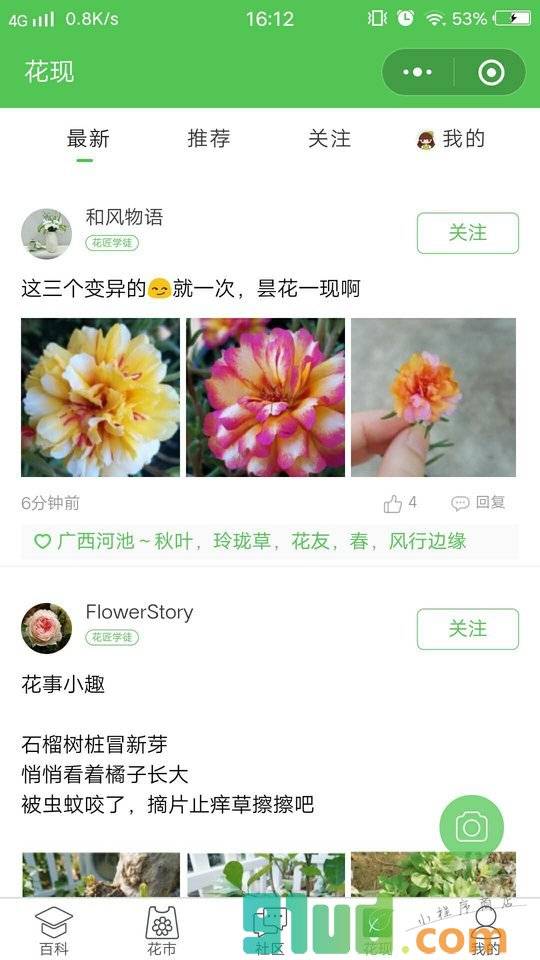养花大全小程序截图