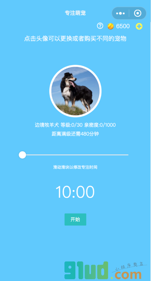 专注萌宠小程序截图