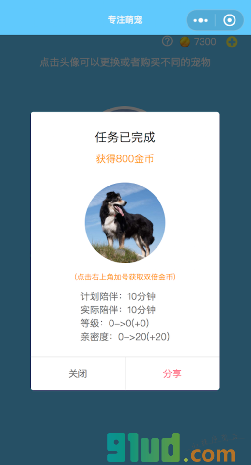 专注萌宠小程序截图