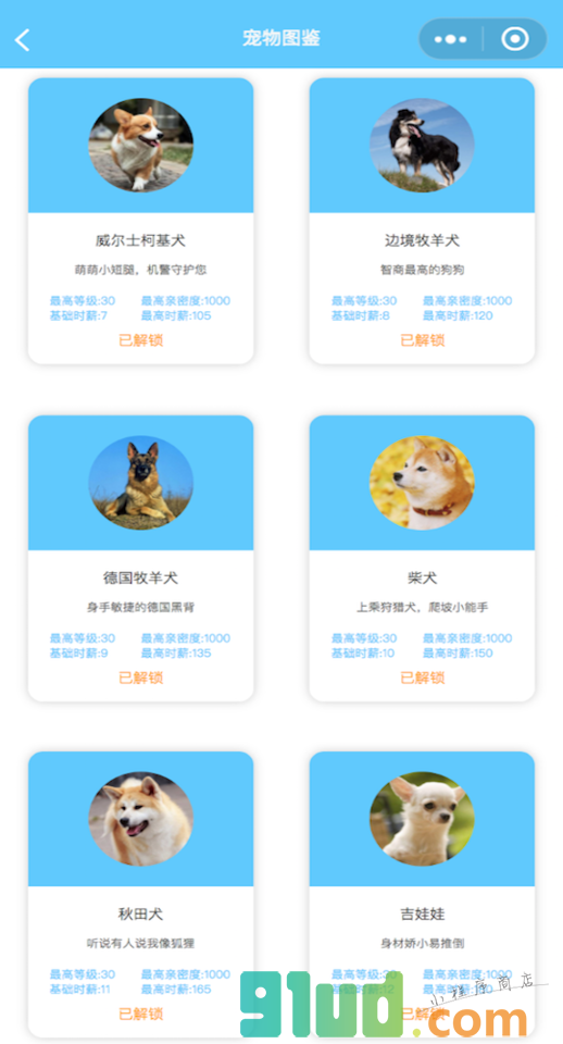 专注萌宠小程序截图