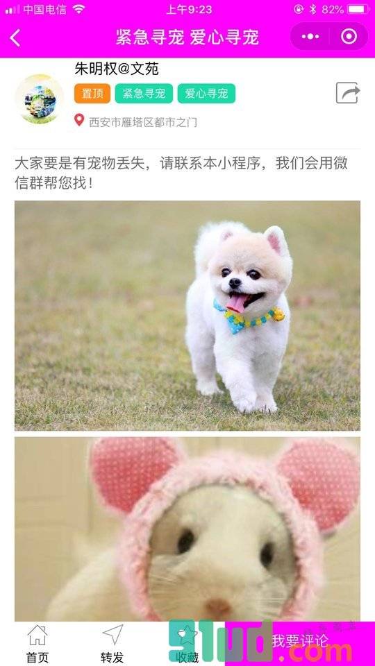 爱宠同城小程序截图
