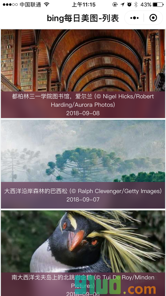 bing每日一图小程序截图