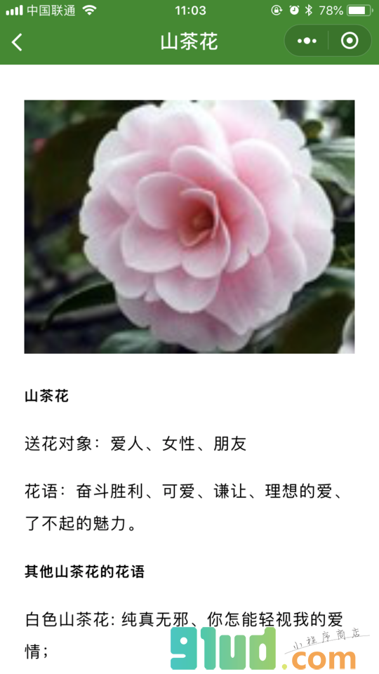 花语大全集小程序截图