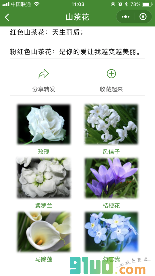 花语大全集小程序截图