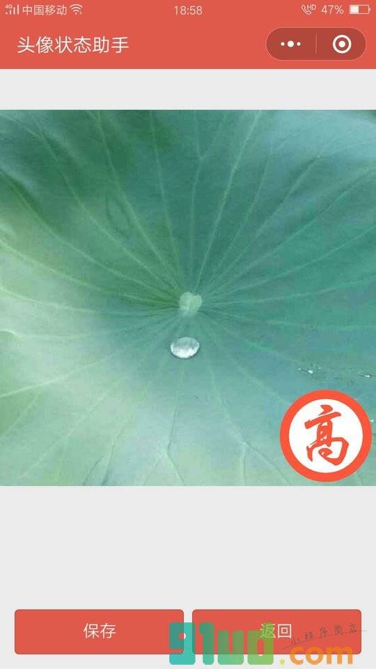 微头像状态小程序截图