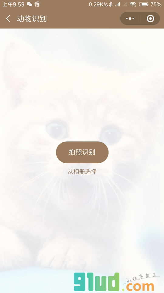 智能助手工具小程序截图