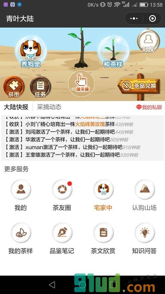 青叶大陆小程序截图