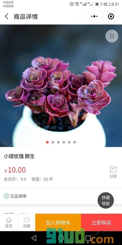 郑州花市小程序截图