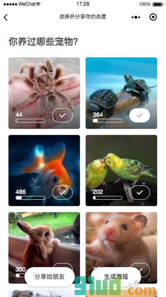三观探测器小程序截图